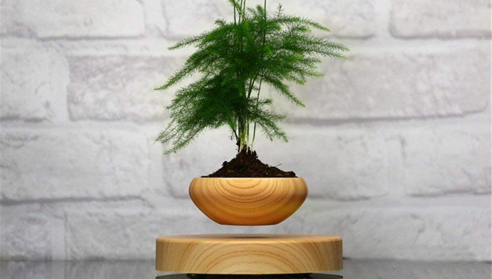 Maceta flotante madera